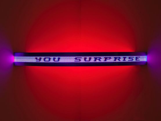 Purple Red Curve by Jenny Holzer contemporary artwork Mixed Media