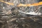 Duan Zhengqu contemporary artist