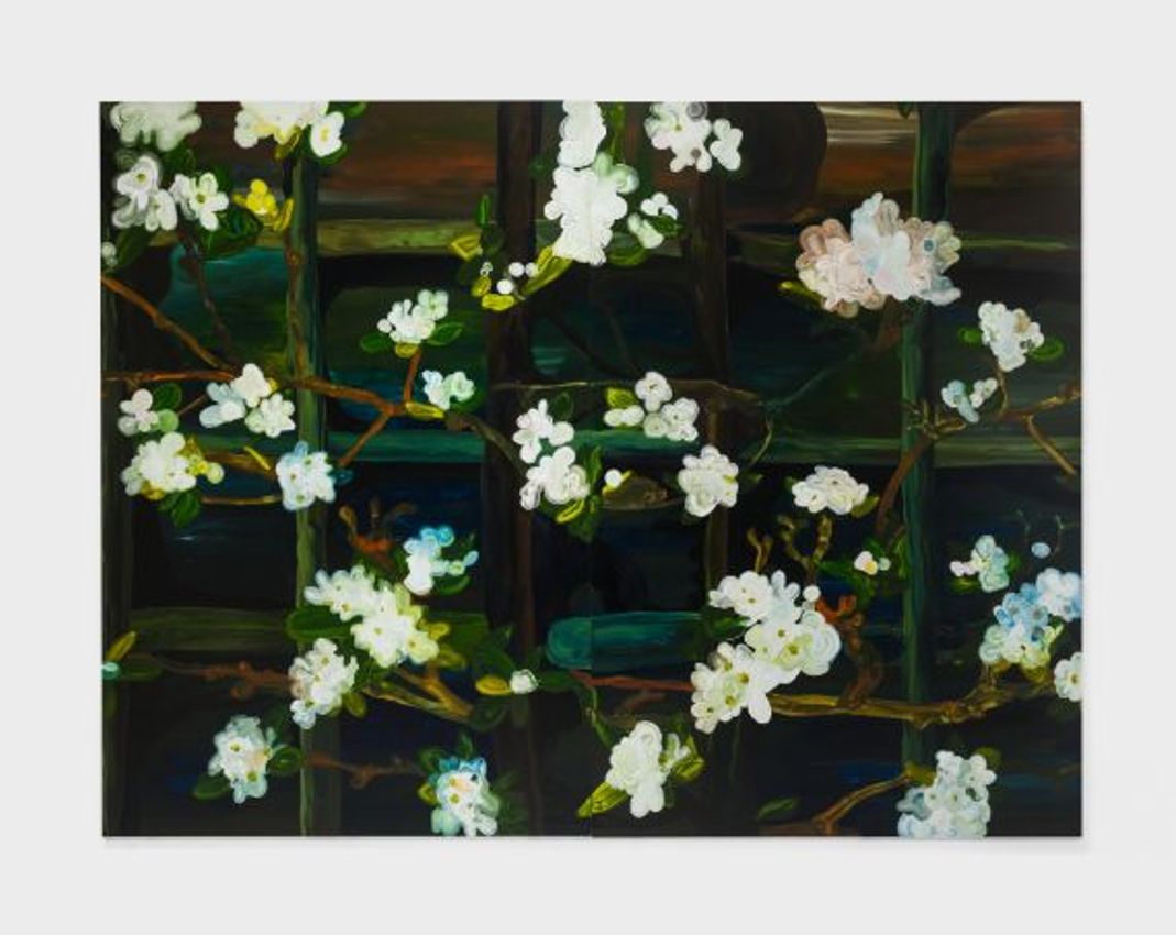 CLARE WOODS