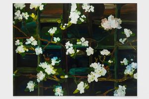 CLARE WOODS