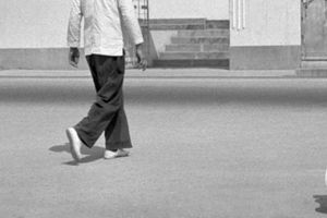Fan Ho
