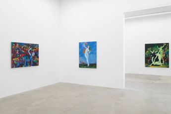 Contemporary art exhibition Joshua Petker Hyacinth Canyon at Anat Ebgi Mid Wilshire United States