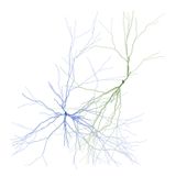Ghost Forest Seedling 9 by Maya Lin contemporary artwork moving image nft print