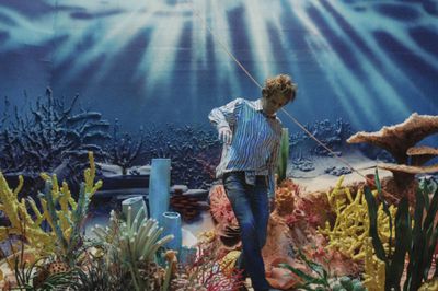Inside Rinus Van de Veldes Imaginary Landscapes