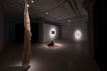 Contemporary art exhibition Han Qian Treading Paths Swelling with Soft Grass at Shanghart SUHE China