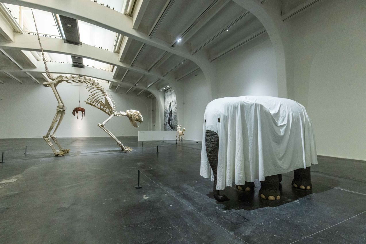 Maurizio Cattelan