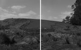 Pasture by Conor Clarke contemporary artwork print