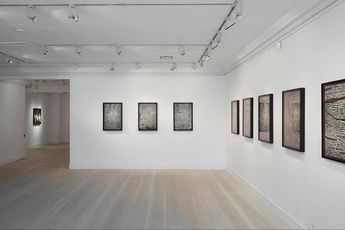 Contemporary art exhibition Alinka Echeverria South Searching at Gazelli Art House London United Kingdom