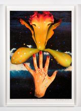 inside another land 29 by Del Kathryn Barton contemporary artwork mixed media