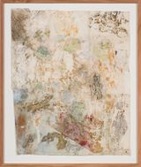 Mimesis - Leaf-tailed geckos on bark moss and lichen II by John Wolseley contemporary artwork works on paper