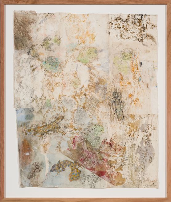 Mimesis - Leaf-tailed geckos on bark moss and lichen II by John Wolseley contemporary artwork Works on Paper