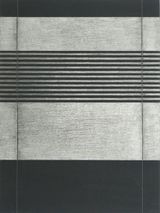 Atlantic Detail - Silver  D-195  by Joan Witek contemporary artwork works on paper