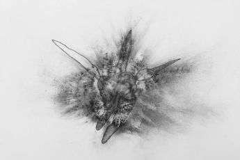 Faisal Samra contemporary artist