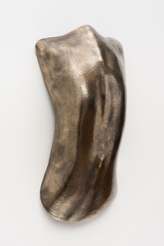 Carapace 4 by Julie Rrap contemporary artwork Sculpture
