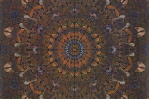 Damien Hirst