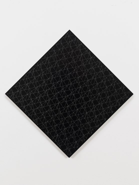 Systemic Grid by Daniel Steegmann Mangrane contemporary artwork Mixed Media