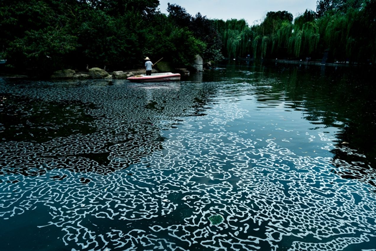 Feng Li