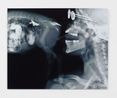 Lick Pig by Wim Delvoye contemporary artwork Photography