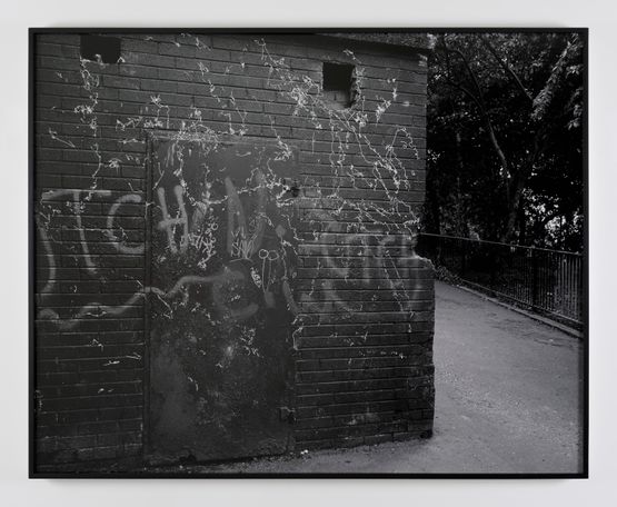 Apparition by Willie Doherty contemporary artwork Photography
