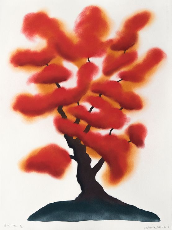 Red Tree by David Nash contemporary artwork Works on Paper
