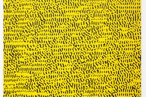 Navid Nuur