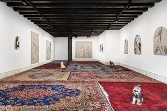 Contemporary art exhibition Anouk Lamm Anouk From Humans Horses and Hounds at Patricia Low Contemporary Venezia Italy