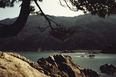 Taipei Dangdai 2022 Advisory Selections