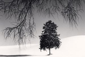 Michael Kenna