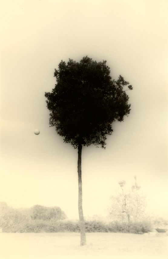 KAWA  FLOW 1612 by Yamamoto Masao contemporary artwork Print