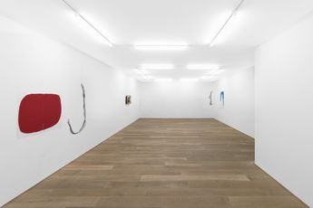 Contemporary art exhibition Esther Klas ll elle elle long lines at Xavier Hufkens Rivoli Belgium