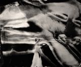 Primordial 2 by Casey Reas contemporary artwork print