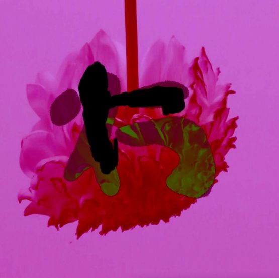 Grain Rain Series-Flower with Flying Text 15-Heart Sutra Version by Hung Keung contemporary artwork Moving Image