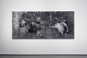 Danie Mellor contemporary artist