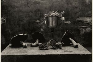 Don Mccullin