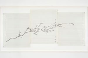 Johanna Calle