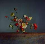 Flowers Day 2 by Richard Learoyd contemporary artwork photography