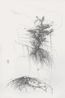 The Sounds of Nature by Lin Guocheng contemporary artwork Painting