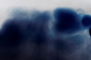 Nicholas Hughes