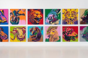 Ai Weiwei