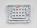 Concretion Karl Popper Overcast by Dan Arps contemporary artwork Painting