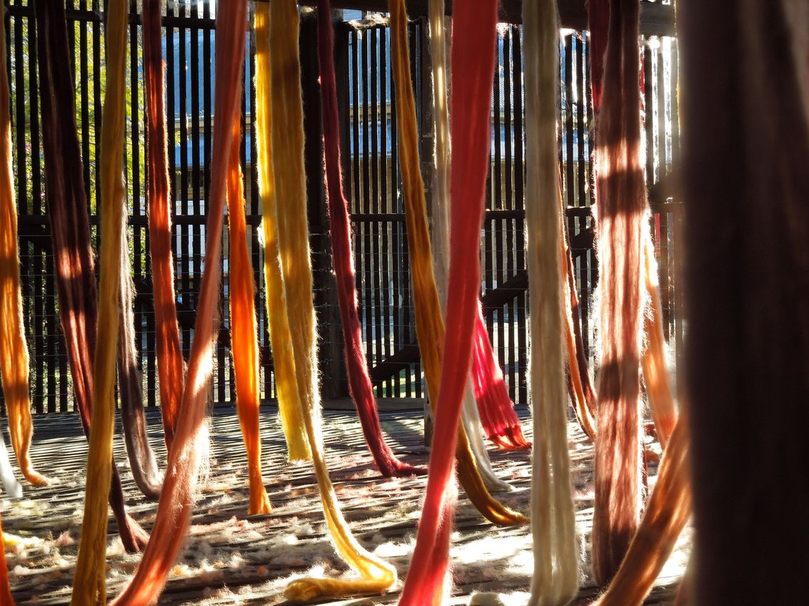Cecilia Vicuña: The Colour of Compassion