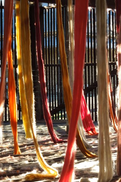 Cecilia Vicuña: The Colour of Compassion
