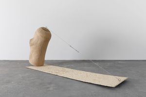 Wang Lijun