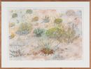 Tracks at Watikinpirri - mulgaras and honeyeaters pollinate the upside-down plants by John Wolseley contemporary artwork Works on Paper