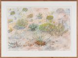 Tracks at Watikinpirri - mulgaras and honeyeaters pollinate the upside-down plants by John Wolseley contemporary artwork works on paper