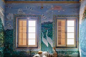 Karen Knorr
