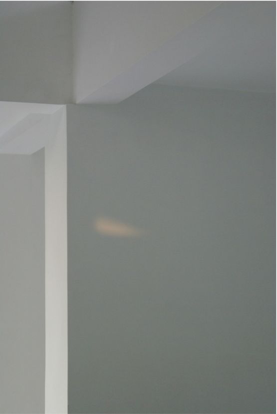 Untitled I by Ayesha Jatoi contemporary artwork Photography