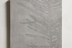 Chiu Chen-Hung