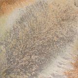 Mother Earth Evolution III by Clement Borderie contemporary artwork painting