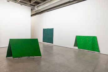Contemporary art exhibition Cildo Meireles One and Some ChairsCamouflages at Luisa Strina Sao Paulo Brazil